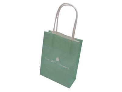 Paper Gift Bag with Twist Handle